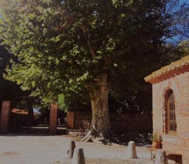 Alenya House | Mas Sant Jordi