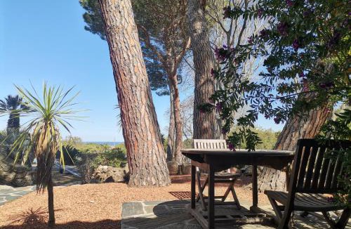 Argeles-sur-Mer House | Mas Senyarich