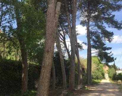 Xerta Villa | MASIA LA MOLINERA