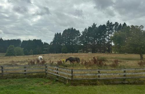 Pokeno House | Master room