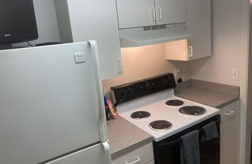 Rosewood Apartment | Masters themed 1 KING bed 1 bath apartment Columbia SC Superhost