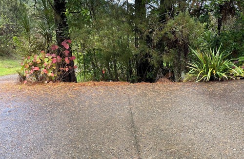 Whangaripo Apartment | Matakana Secluded Hideaway