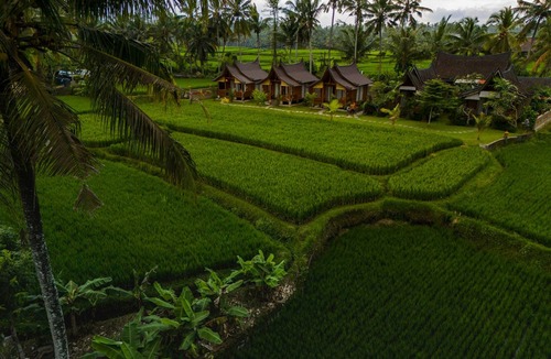 Pejeng Kawan Villa | Mathura Ubud