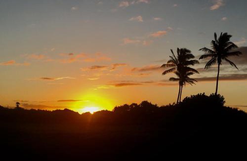 Punaluu Apartment | Mauna Kai'iki