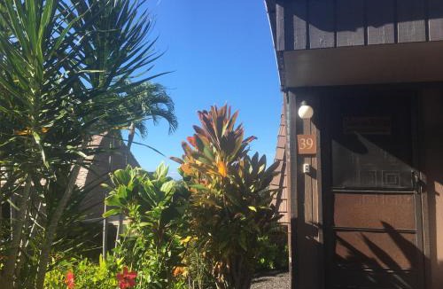 Punaluu Apartment | Mauna Kai'iki