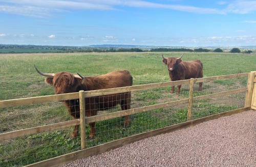 Whaddon Hotel | Maylands Farm Glamping Pod