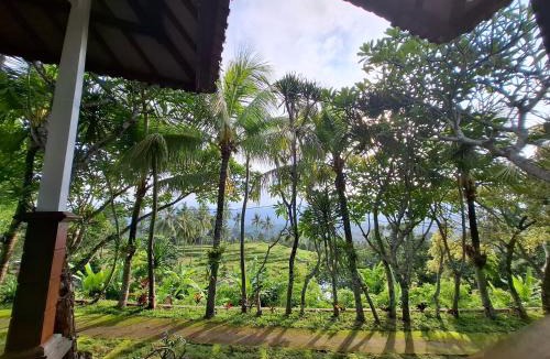Sei Pinang House | Mayong Harmony Villa