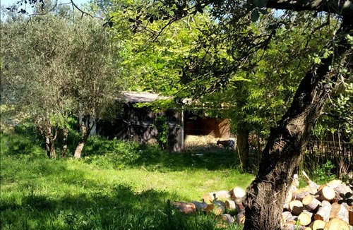 Santa Cruz House | Mazet du C'riquet