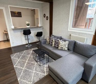 Chatillon-Coligny Apartment | Mc privé