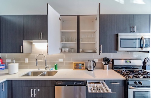 Near South Side House | McCormick Apt 3BR Corner Oasis Near Soldier Field & Museum Campus