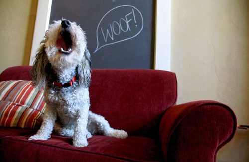 Concordia Hotel | McMenamins Kennedy School