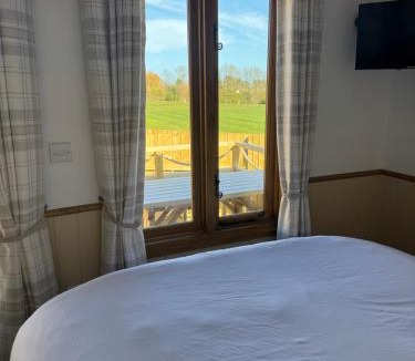 Brixham House | Meadow