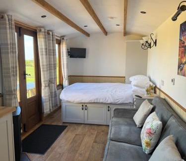 Brixham House | Meadow