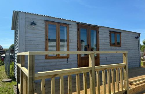 Brixham House | Meadow