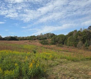 Louisville Resort | Meadowview Springs Pond View