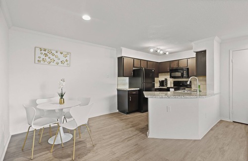 Astrodome Apartment | Med Center Apt Near NRG