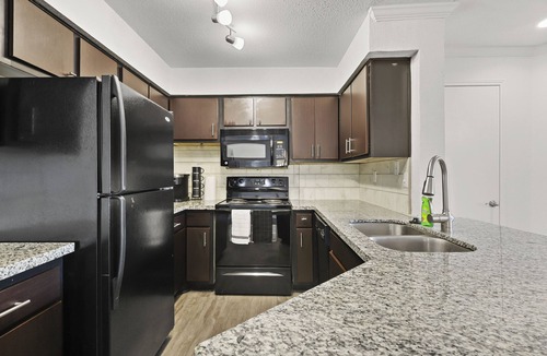 Astrodome Apartment | Med Center Apt Near NRG