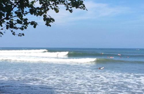 Medewi House | Medewi Surf Villa