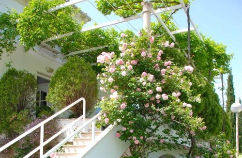 Mlini Apartment | Mediterranea - One Bedroom Apartment with Sea View