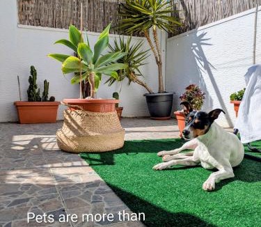 Monte Faro Apartment | Mediterranean Chill House BBQ & Pools