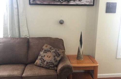 Niskayuna Apartment | Meet the browns with parking