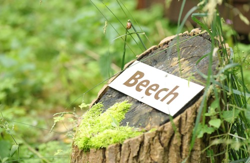 Aldborough Cabin | Mega Pod (Deer's Glade)