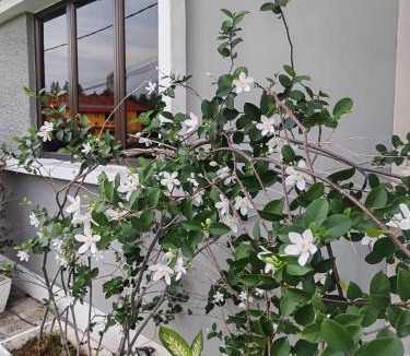 Klebang Besar Villa | Melaka Beach Villa