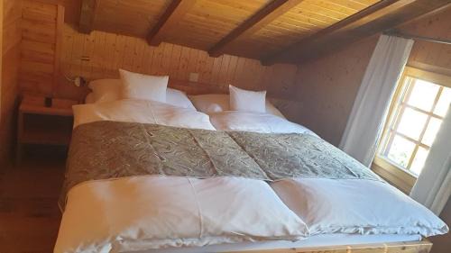 Grimentz Hotel | Meleze