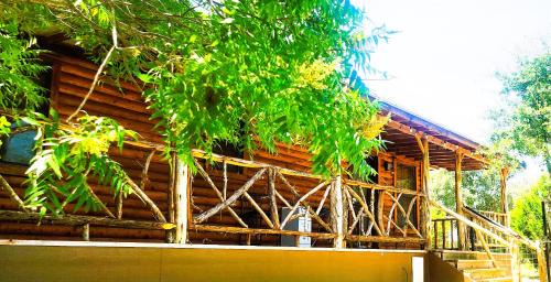 Pipe Creek House | MeMaws Country Cabin