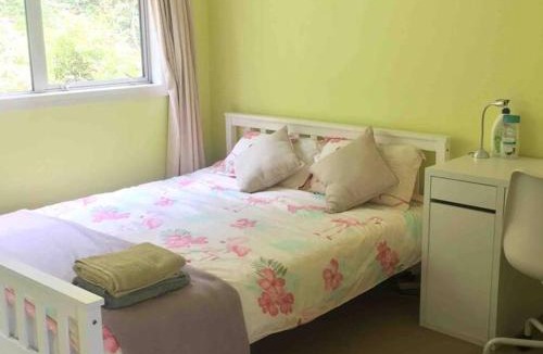 Swanson House | memory