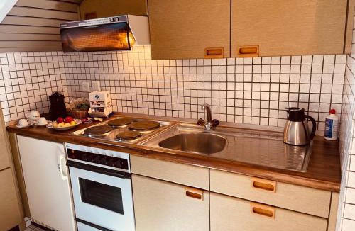 Mendrisio Apartment | Mendrisio Deluxe Apartament Bagno Privato Esterno