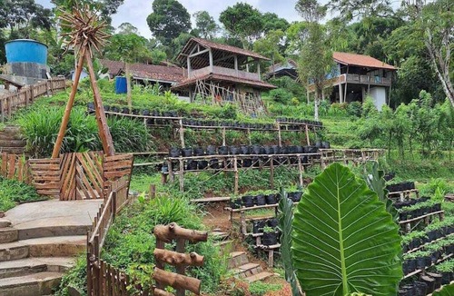Kalirejo Villa | Menoreh Farm Stay Samigaluh Kulonprogo