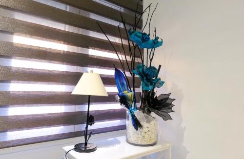 Alcaniz House | Mequedo San Pascual