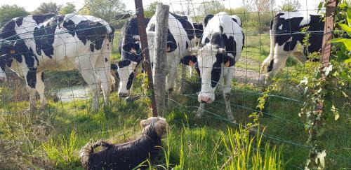 Moyenneville House | Mer, nature, acceuil