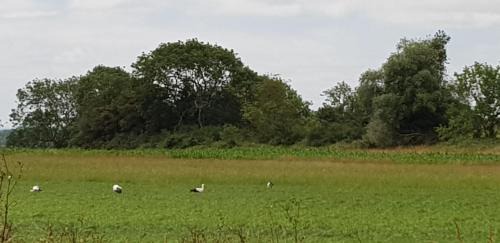 Moyenneville House | Mer, nature, acceuil