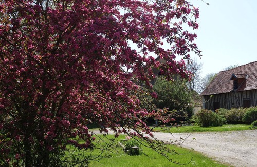 Tigny-Noyelle Bed & Breakfast | MER - On the Farm - Sea, River & Pets .