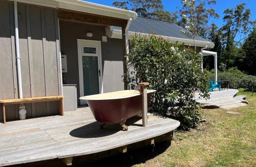 Whenuakite House | Mercury Orchard