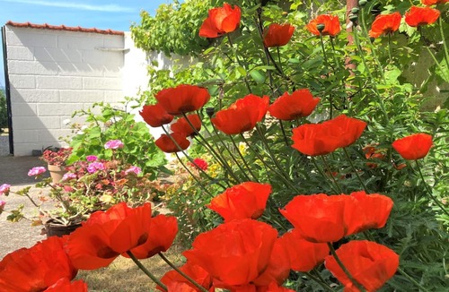 Lohals House | "Merete" - 50m from the sea by Interhome