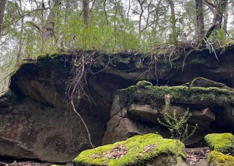 Bundanoon Bed & Breakfast | Meriba B and B