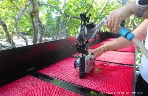 Waisai Resort | Meridian Adventure Marina Club & Resort