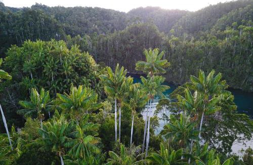 Waisai Resort | Meridian Adventure Marina Club & Resort
