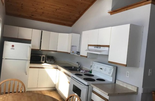 Prince Edward Ski Chalet | Merland Park Cottages - Mikey Bigfish