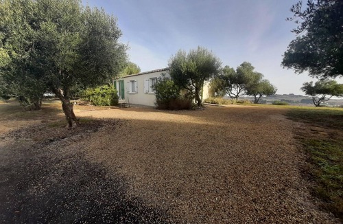 Montagnac House | Merlot - MONTAGNAC