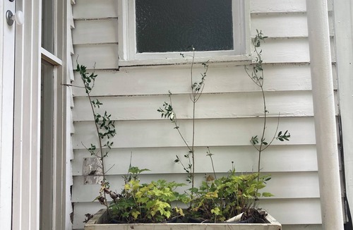 Sherbrooke Cottage | Merri Loft