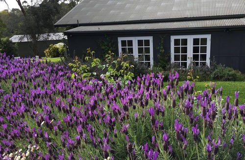 Merricks Cottage | Merricks Cottage - Boutique Accommodation