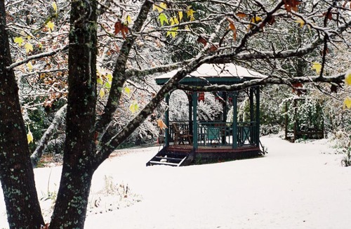 Bright House | Merrimeet Cottages