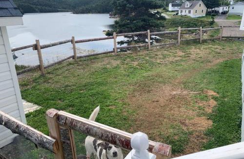 Fogo House | Merritt's Harbour Memories