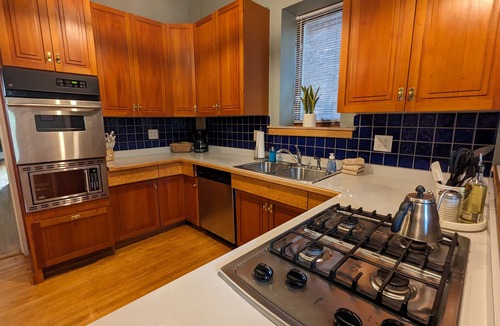 Observation Hill Condo | Mesaba 3 Lake View | Historic Condo
