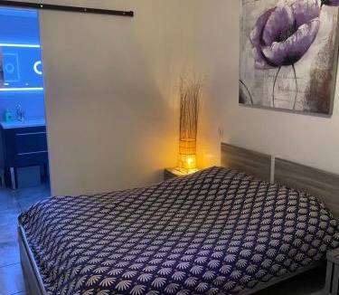 Corre Apartment | Metris 5