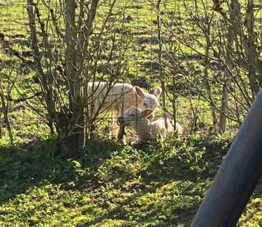 Corre Bed & Breakfast | Metris gaelle